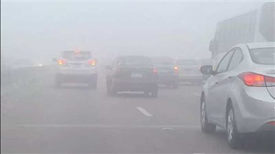 طقس كفر الشيخ دافئ نهارًا وشبورة مائية علي كافة الطرق 