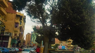 استقرار حالة الطقس في الفيوم اليوم والصغرى 9