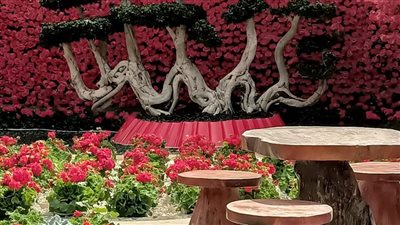 وزير الزراعة: الرقعة الزراعية في مصر تخطت 10 مليون فدان | خاص