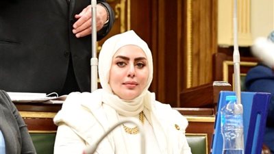 بيان برلماني عاجل بشأن خطة الحكومة لحماية الطلاب المصريين في أوكرانيا