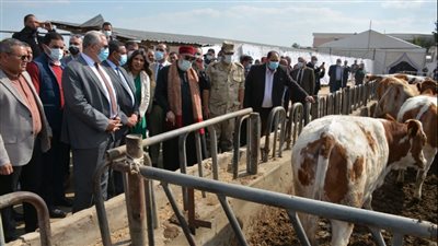 وزير الزراعة ومحافظ البحيرة يسلمان عقود توزيع عجول على صغار المربين | صور