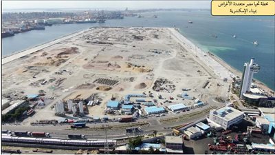 ميناءا الإسكندرية والدخيلة يشهدان نشاطًا كبيرًا وسط إجراءات احترازية 