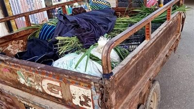 من المذبحة لحبل المشنقة.. تفاصيل ليلة قُتلت فيها هدية على يد زوجها الجزار في الفيوم | صور