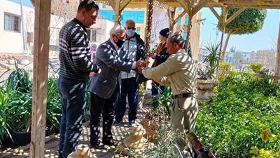 زيتون وليمون.. جهاز العبور يوفر 4000 شجرة مثمرة لسكان المدينة | صور