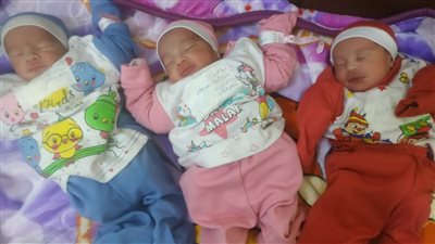 سيدة تضع 3 توائم بعد تأخرها في الإنجاب بالمنوفية| فيديو