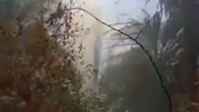 السيطرة على حريق نشب في زراعات النخيل بأسوان