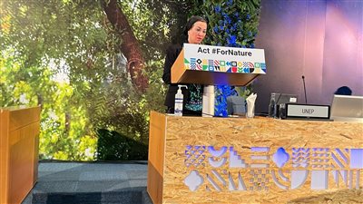 ياسمين فؤاد في افتتاح جمعية الأمم المتحدة للبيئة: نتطلع لتحقيق نتائج تراعي الأولويات الوطنية لجميع الدول