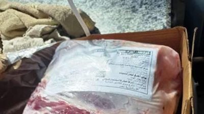 ضبط 3 أطنان جندوفلي وأسماك مجهولة المصدر بالشرقية | صور