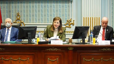 التخطيط: ثلث سكان العرب تحت سن 15 عامًا.. و17 مليون عاطل خلال 2020