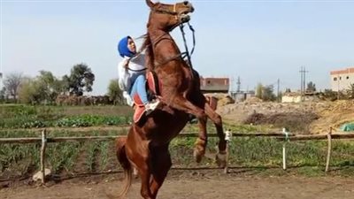 أصغر مروضة للخيل بالدقهلية: بدأت هوايتي بعمر 8 سنوات وأصبحت أشهر راقصة بالحصان | بث مباشر