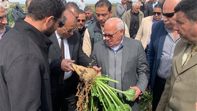 محافظ بورسعيد يشهد بدء موسم حصاد بنجر السكر بمنطقة الأمل في سهل الطينة | صور