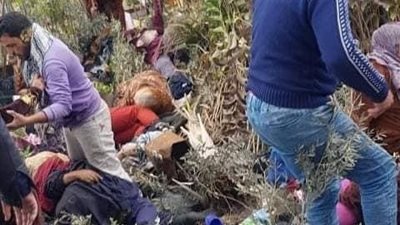 إصابة 19 شخصًا في سقوط شجرة على سيارة نقل بالدقهلية 