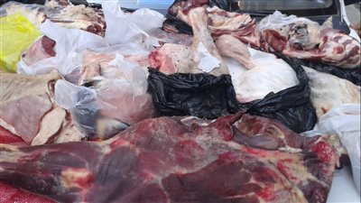 ضبط كميات من اللحوم والفراخ المتبلة غير صالحة للاستهلاك الآدمي في البحيرة