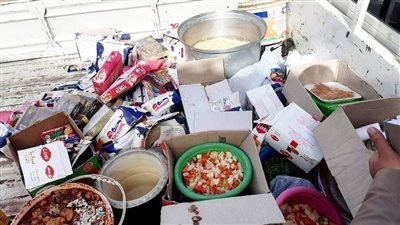 ضبط 20 صفيحة جبنة و120 كليو جرام لحوم منتهية الصلاحية بسوهاج