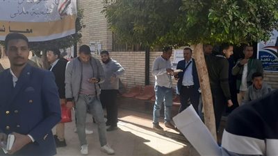 إقبال متوسط في جولة الإعادة لاختيار نقيبًا للمهندسين في قنا