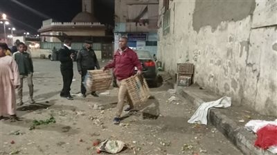 حملة لرفع الإشغالات بشارعين شرق السكة والمدينة المنورة في الأقصر| صور