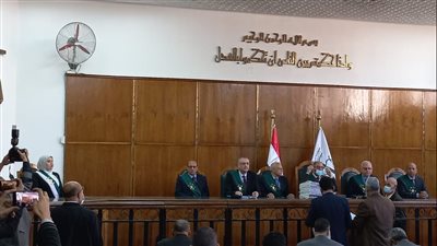 تأجيل دعوى بطلان تحويل استراحة المحامين بمجلس الدولة لقاعة محكمة لـ 22 مايو