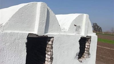 إزالة مقابر مخالفة بقرية البريجات في البحيرة | صور