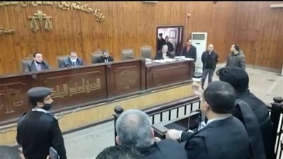 محامي كريم الهواري للشاهد: سيبوهولي.. والقاضي يعترض: احترامه من احترام المحكمة