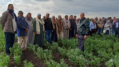 الزراعة تنظم 155 مدرسة حقلية في 19 محافظة خلال فبراير الماضي