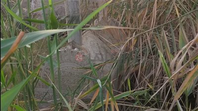 عظام تغرق في المياه الجوفية.. الإهمال يضرب قبر رقية دودو  بمدينة القاهرة | صور