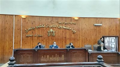 بدء محاكمة كريم الهواري.. ورئيس المحكمة يعزي المحامين في وفاة رجائي عطية