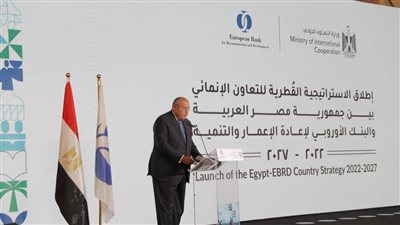وزير الخارجية: اقتصاد مصر قادر على تخطي الصدمات وجذب استثمارات أكبر من أي وقت مضى