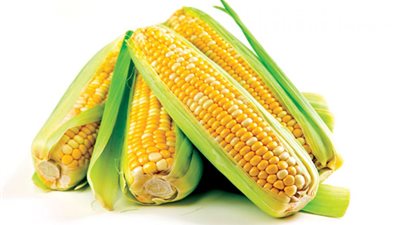 2130 جنيها ارتفاعا في سعر الذرة الصفراء الأرجنتينية