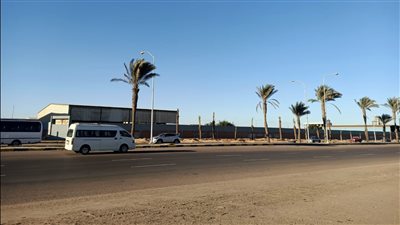 بعد موجة من رياح الخماسين.. استقرار الطقس وسطوع الشمس في المنوفية ومطروح | بث مباشر