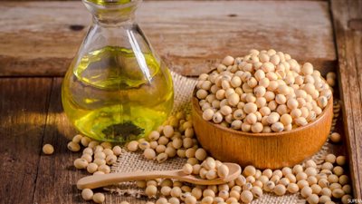 فول الصويا قد يساهم في خفض نسبة كوليسترول الدم | دراسة
