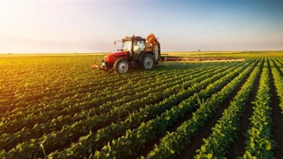 للمزارعين.. تعرف على خدمات الهيئة العامة لصندوق الموازنة الزراعية | إنفوجراف 