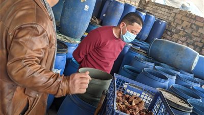 ضبط 150 برميل مخلل و5 أطنان ملح خلال حملة تفتيش بالدقهلية