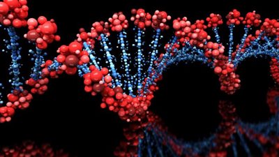 الأشخاص العقام تكون جيانتهم غير راغبة في تكوين أسرة |دراسة 