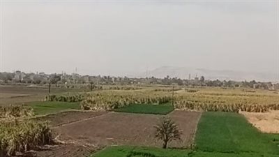 طقس معتدل نهارًا وشديد البرودة ليلًا.. تعرف على الأحوال الجوية في الأقصر اليوم | بث مباشر