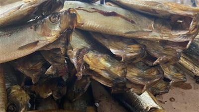 ضبط 631 كيلو لحوم وأسماك غير صالحة للاستهلاك بالغربية