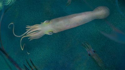 سُمّي على اسم الرئيس الأمريكي.. تعرف على أحفورة الأخطبوط البالغ عمرها 328 مليون عام 