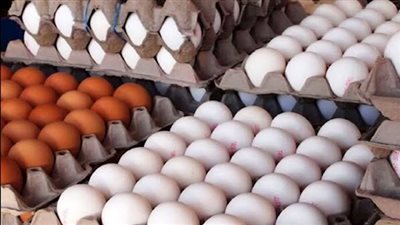 اللحمة بـ170جنيها والفلفل والخيار يصلان لأعلى سعر في أسواق سوهاج.. والتموين: جشع التجار السبب