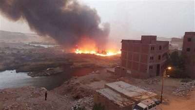 أول تعليق من وزارة البيئة لـ القاهرة 24 على حريق محميّة سالوجا وغزال| صور وفيديو