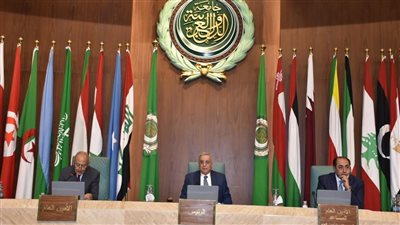 أبو الغيط: يجب ألا تسبب الحرب الروسية الأوكرانية في نسيان أو التغافل عن الأزمات العربية