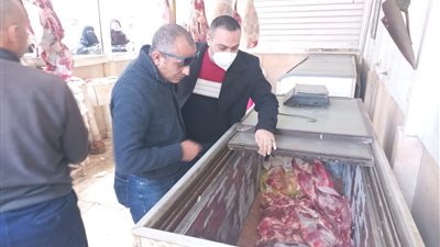 تحرير 30 محضر تمويني خلال حملات على الأسواق بميت غمر │ صور