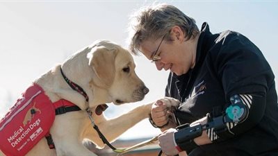  قضاء 10 دقائق مع كلب يمكن أن يخفف الألم لدى مرضى المستشفى | دراسة