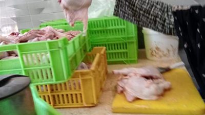 حملات تموينية لمراقبة الأسعار ومنع حجب السلع بشبين والخصوص في القليوبية