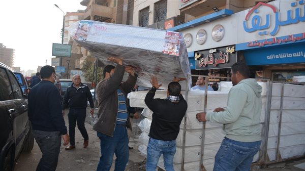 حملات في القليوبية