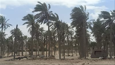 سقوط أمطار خفيفة وانخفاض في درجات الحرارة بشمال سيناء 