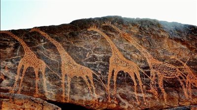 تحكي عصور ما قبل التاريخ.. تعرف على محمية الجلف الكبير| صور