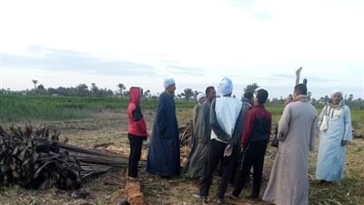 زراعة الفيوم: حملات نهارية وليلية لإزالة التعديات على الأراضي الزراعية وإجراءات رادعة للمخالفين