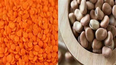 البنك المركزي يقرر مد استثناء الأرز والفول والعدس من شرط الغطاء النقدي لمدة عام