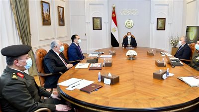 السيسي يوجه بالتوسع في توفير سلالات الأبقار ذات الإنتاجية العالية من اللحوم والألبان