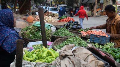 تعرف على أسعار الخضراوات والفاكهة في أسواق الدقهلية