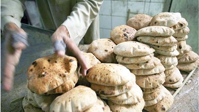 غرفة صناعة الحبوب: الدولة تدرس بيع العيش بالكيلو لمحاربة غلاء الأسعار
